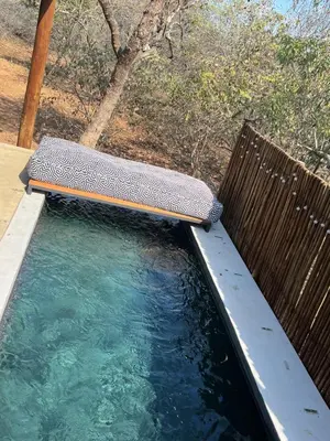 a pool of water with a bench next to a fence at Birdsong Kruger in Marloth Park