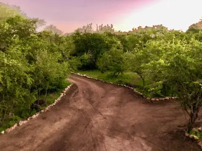 a dirt road in the middle of a forest at Luxury Treetop Lodge in Marloth Park
