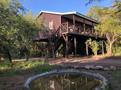 a wooden house with a pond in front of it at Luxury Treetop Lodge in Marloth Park
