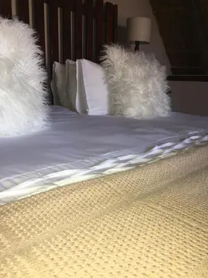two white dogs laying on top of a bed at Midrand Wild Goose Guest House B&B in Midrand