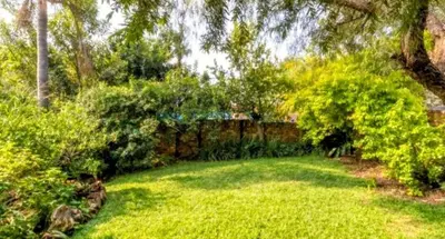 a yard with green grass and trees and a fence at Feather Tree Bed and Breakfast in Centurion