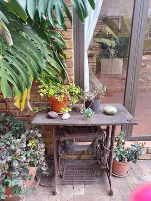 a table with potted plants on it next to a window at Feather Tree Bed and Breakfast in Centurion