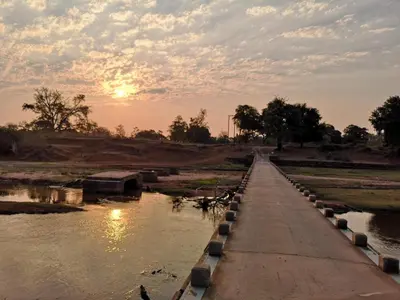 a bridge over a river with animals walking on it at Nthakeni Bush & River Camp in Pafuri Gate