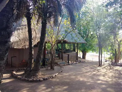 a building with a chain around two palm trees at Nthakeni Bush & River Camp in Pafuri Gate