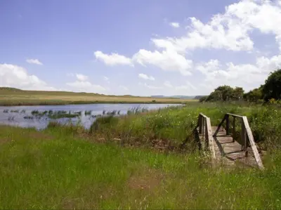 a wooden bridge in a field next to a body of water at Jocks Cottages in Dullstroom