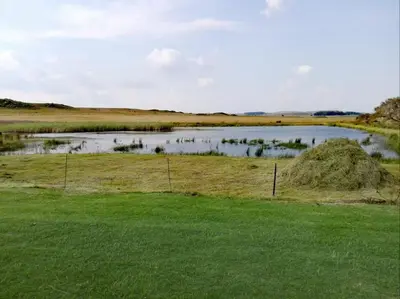 a view of a pond in a field with grass at Jocks Cottages in Dullstroom
