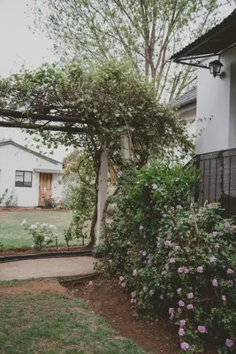 a tree in a yard next to a house at Lydenburg Manor Guest House in Lydenburg