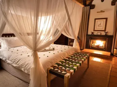 a bedroom with a bed with a fireplace in it at Tintswalo Waterberg in Vaalwater