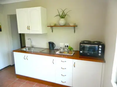 a kitchen with a sink and a microwave on a counter at Aloe Cottage in Nelspruit