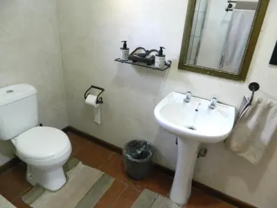 a bathroom with a toilet and a sink and a mirror at Aloe Cottage in Nelspruit