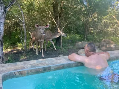 a man laying in a swimming pool next to a deer at Klein Paradys in Marloth Park