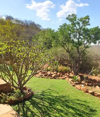 a garden with a tree and grass and trees at Hide Away Wedding,Conference & Function Venue in Bela-Bela