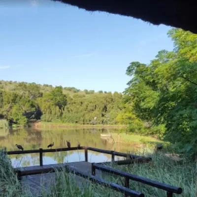 a group of birds standing on a bridge over a lake at Glen Afric Country Lodge in Hartbeespoort