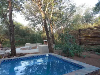 a swimming pool in a yard with a fence and trees at 3714 @Ribbok in Marloth Park
