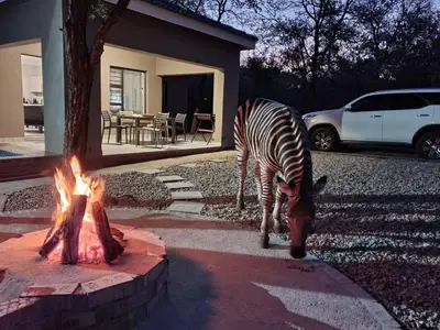 a zebra standing in front of a fire pit at 3714 @Ribbok in Marloth Park