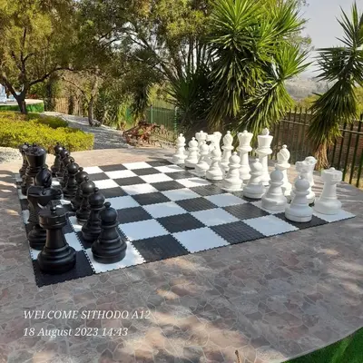 a giant chessboard on a sidewalk with a dog at JB Countrylife Accommodation in Centurion