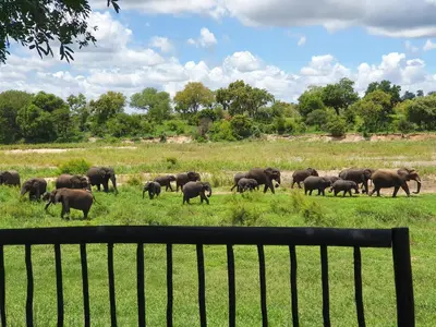 Gallery image of Umkumbe Safari Lodge Riverside in Skukuza