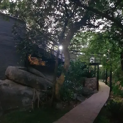 a tree next to a sidewalk with a street light at Forget me not Selfcatering Apartments in Nelspruit