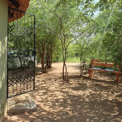 a bench and a gate in a park with trees at Rhumbini Lodge in Malamulele