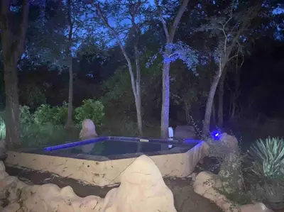 a swimming pool in the middle of a yard at night at Ivory Sands Selfcatering house in Marloth Park