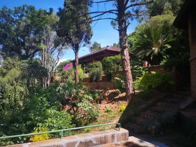 a house with trees and bushes and a staircase at Metsing at Harties in Hartbeespoort