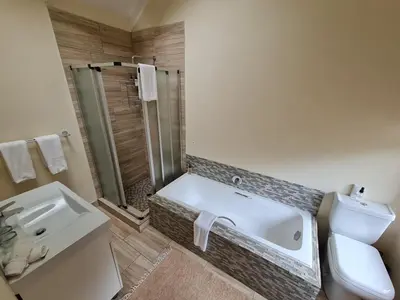 a bathroom with a toilet and a sink and a shower at Migrate Portfolio in Dullstroom