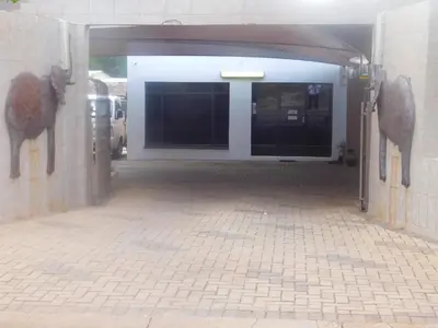 an open garage with a door with animals on the wall at Fouriestreet 199 Bed and Breakfast in Mokopane