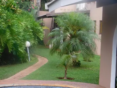 a palm tree in a yard next to a building at Fouriestreet 199 Bed and Breakfast in Mokopane