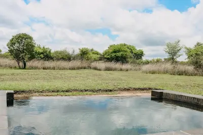 a pool of water in a field with trees at 119 Zebula in Mabula