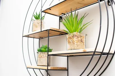 a shelf with potted plants on a wall at Menlyn Apartment - Marble Print in Pretoria