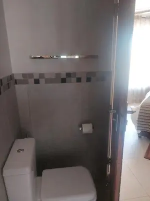 a small bathroom with a toilet and a shower at BushTime Mabula in Mabula