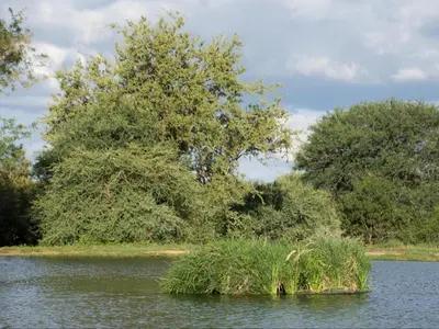 a small island in the middle of a lake at Ujabule Lodge in Hoedspruit