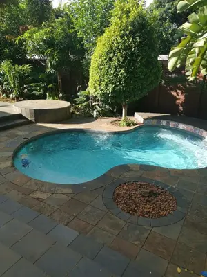 a small swimming pool in a yard with a tree at 180 On Anderson Guest House in Pretoria