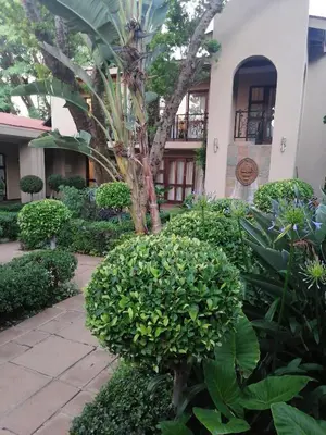 a garden in front of a building with a palm tree at 180 On Anderson Guest House in Pretoria
