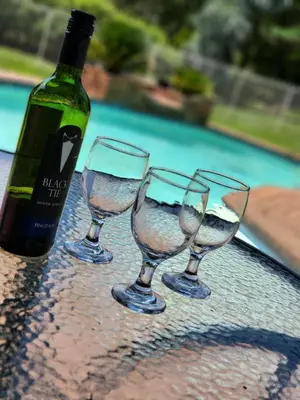 four wine glasses sitting next to a bottle of wine at Rural feeling Self Catering Next door to Sandton in Midrand
