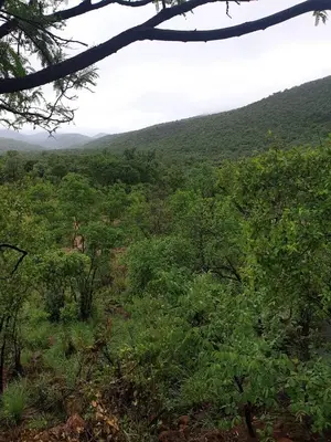 a view of a lush green forest with hills in the background at Rock Cottage, Bela-Bela in Bela-Bela