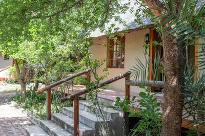 a house with a staircase in front of a tree at Thornhill Safari Lodge in Hoedspruit