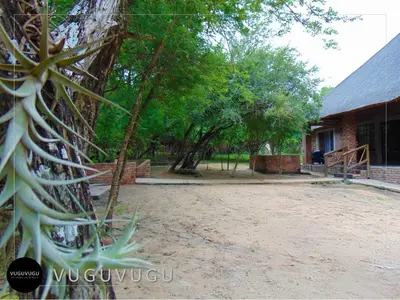 a view of a yard with a building and trees at VuguVugu - At home in Africa in Marloth Park