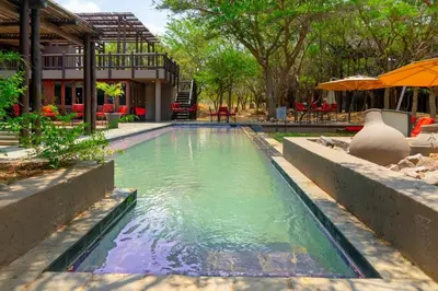 a swimming pool with green water in front of a building at Zebula Boutique Hotel in Mabula