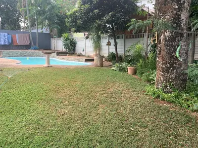 a yard with a swimming pool and a tree at Plum Cottage in Nelspruit