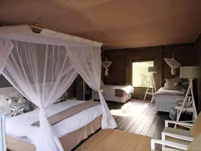 Gallery image of Ngama Tented Safari Lodge in Guernsey Nature Reserve