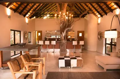 a living room with a table and a tree at Moditlo River Lodge in Hoedspruit
