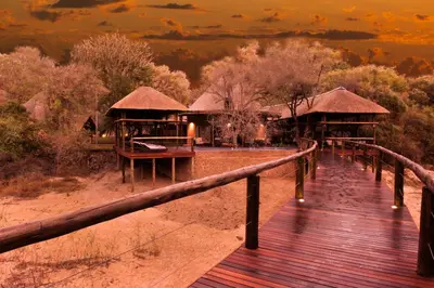 a boardwalk leading to a resort in the wilderness at Moditlo River Lodge in Hoedspruit
