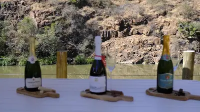 three bottles of wine sitting on top of a table at Mologa River Lodge in Rust de Winter