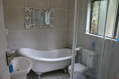 a bathroom with a tub and a toilet and a mirror at The Sabie Town House Guest Lodge in Sabie