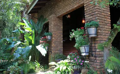a brick building with flower pots and plants at The Sabie Town House Guest Lodge in Sabie