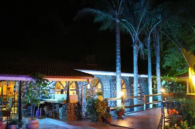 a house with a deck with palm trees at night at The Sabie Town House Guest Lodge in Sabie