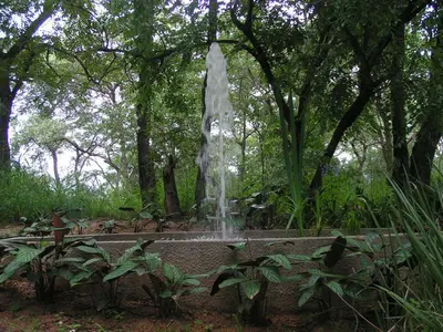 a water fountain in the middle of a park at Tranquil Nest in Hazyview