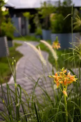 a yellow and orange flower in front of a sidewalk at Kruger Shalati - Train on The Bridge & Garden Suites in Skukuza