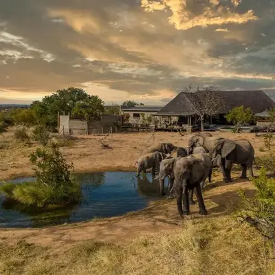 Imagine Africa Luxury Tented Camp